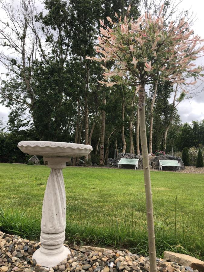 Tir Na Spideoga Villa Ennis Exteriör bild