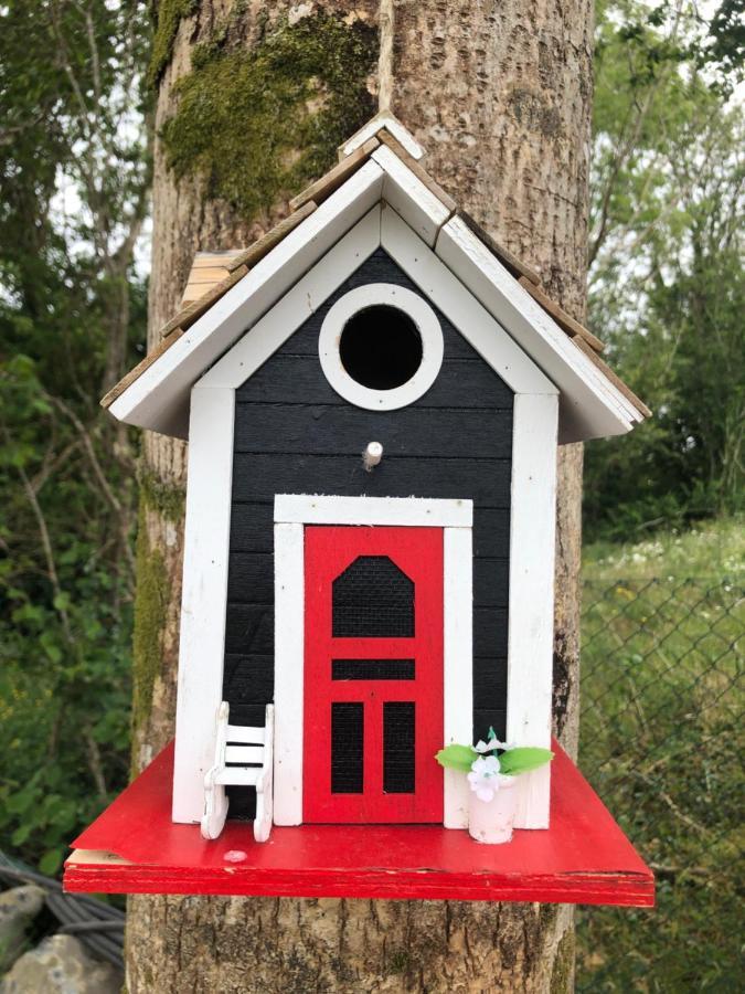 Tir Na Spideoga Villa Ennis Exteriör bild